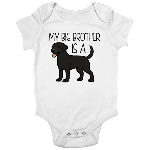 My Big Brother is a Black Lab