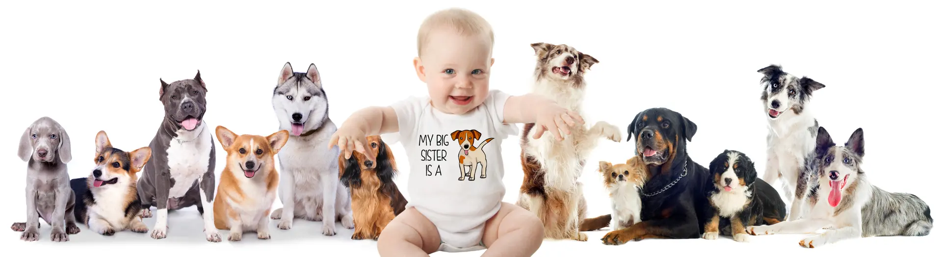 Banner for DogFanClub.net